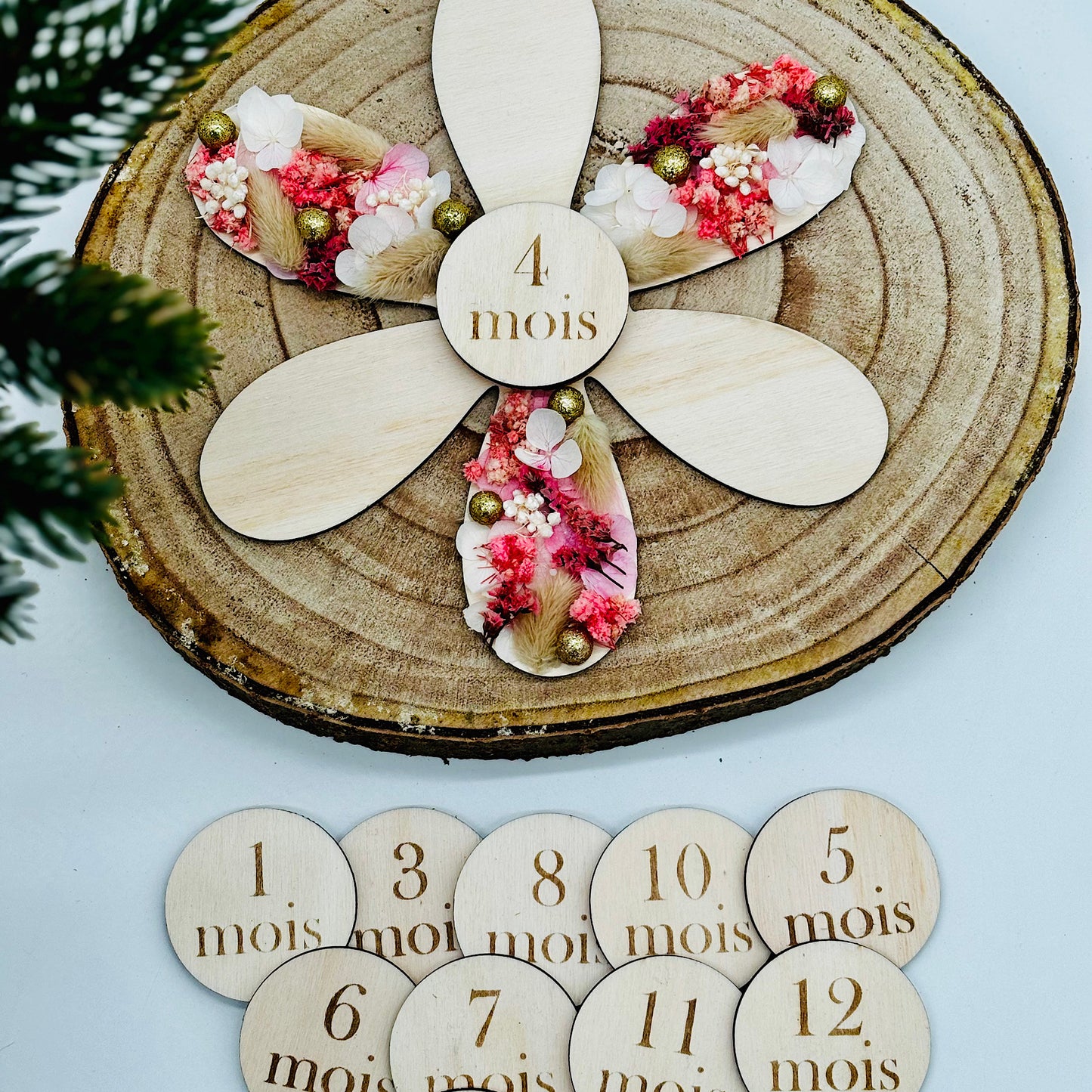 Cartes étapes Marguerite fleurs séchée